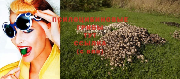 бошки Надым