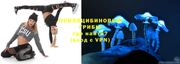 бошки Надым