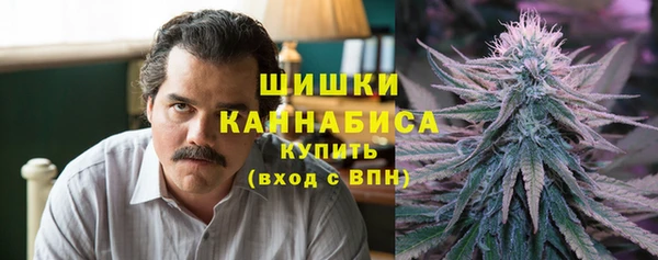 бошки Надым