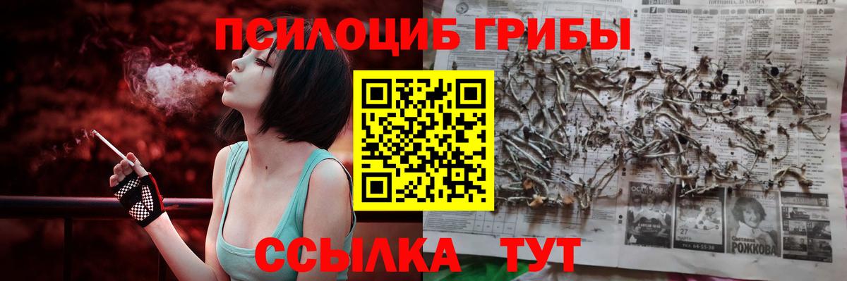 Псилоцибиновые грибы прущие грибы  Галлюциногенные грибы прущие грибы  наркотики  Ковров  Вход с VPN 